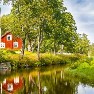La Suède en est convaincue : visiter ses vertes contrées améliore le bien-être